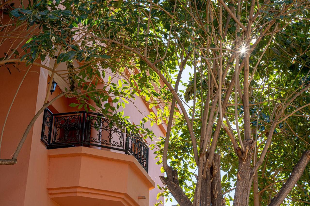 Las Palmeras Guest House Douar Caid Layadi Luaran gambar