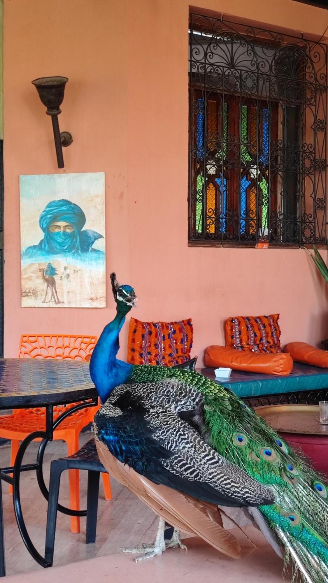 Las Palmeras Guest House Douar Caid Layadi Luaran gambar